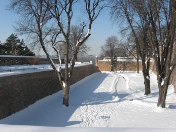 Curve road.jpg
